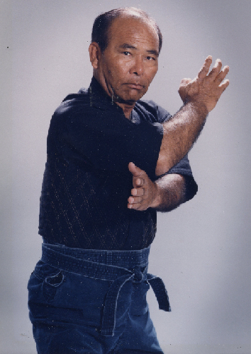 Taika Seiyu Oyata